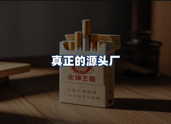 专业团队办公环境